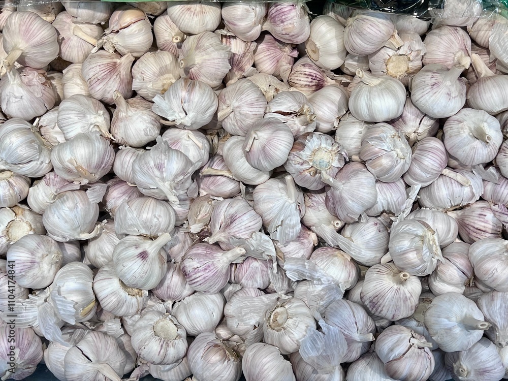 garlic on market garlic on market