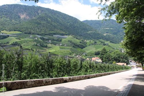 Etschtal Valley Cycling Route south of Meran and vinyards  - Cycling the transalpine route Via Claudia Augusta