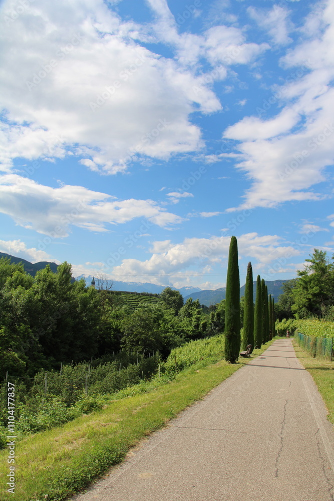 Bicycle Route between Bozen and Kaltern in summer, Etschtal - Cycling the transalpine route Via Claudia Augusta Bicycle Route between Bozen and Kaltern in summer, Etschtal - Cycling the transalpine route Via Claudia Augusta