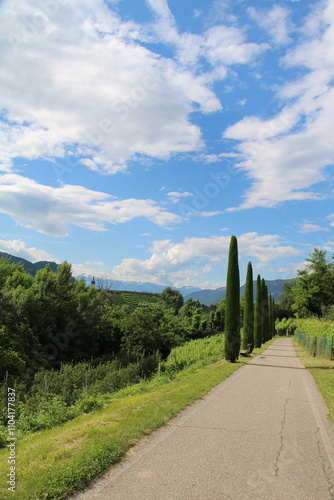 Bicycle Route between Bozen and Kaltern in summer, Etschtal - Cycling the transalpine route Via Claudia Augusta