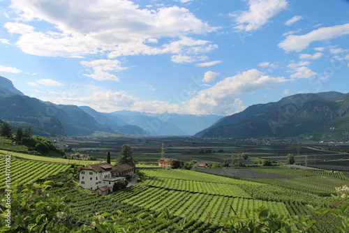 Bicycle Route between Bozen and Kaltern in summer, Etschtal - Cycling the transalpine route Via Claudia Augusta