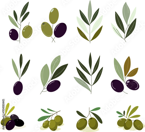 vector set olive branches with green and dark olives. For Mediterranean, botanical, and food themed designs. Minimalistic modern olives illustration.