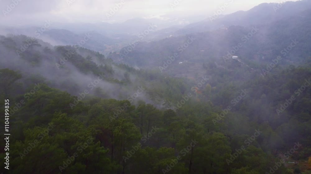 Aerial views of foggy mountain forest Cyprus Mediterranean alpine sub tropical jungle Aerial views of foggy mountain forest Cyprus Mediterranean alpine sub tropical jungle