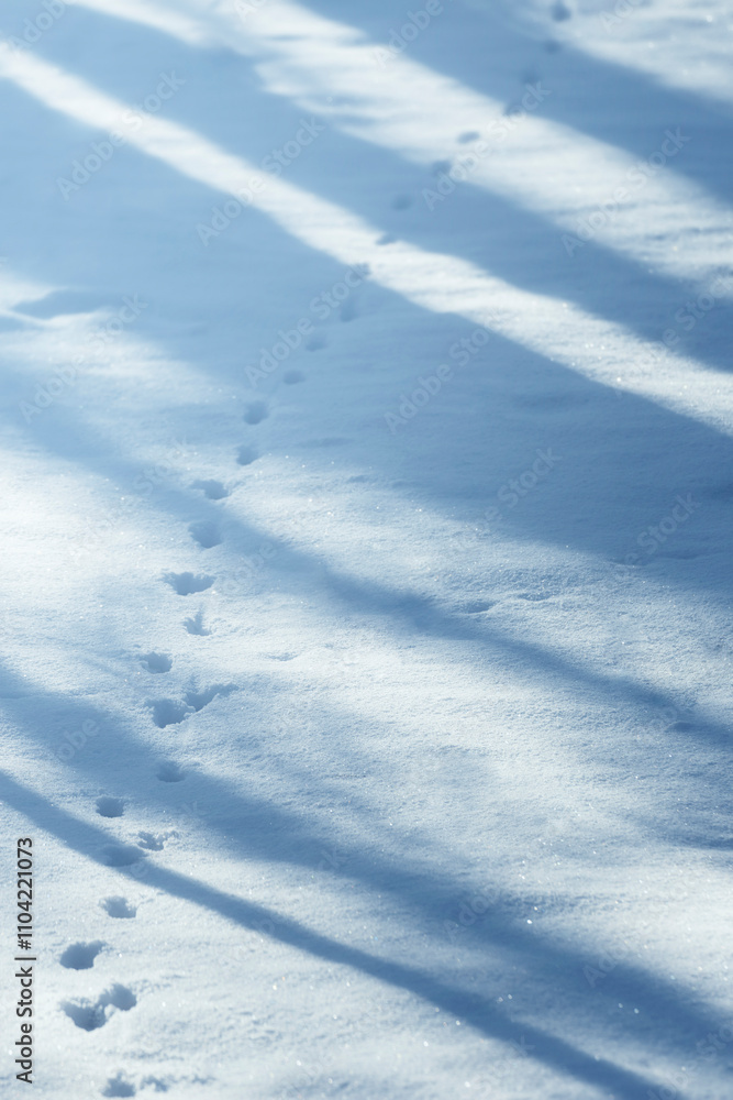 animal tracks in snow, minimal winter background animal tracks in snow, minimal winter background