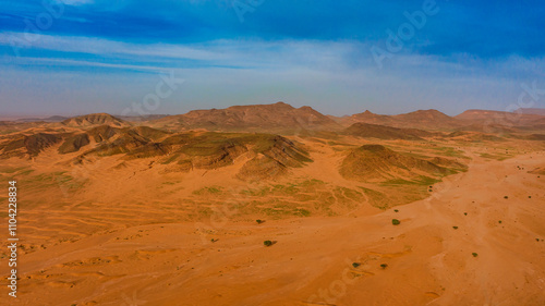 Moroccan Sahara Desert, ancient black volcanic mountains, the Sahara River Oued Ghris, stunning Acacia trees, wild camels, and desert camp, landscape where golden sand dunes merge with green plants