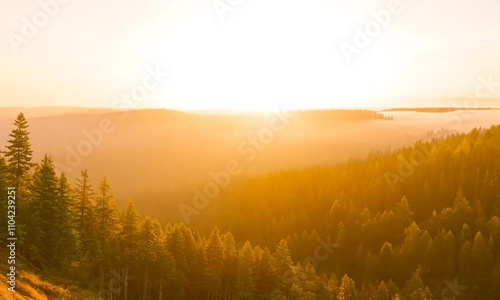 Stunning forest landscape capturing breathtaking sunrise over misty hills