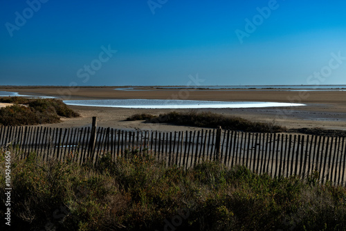 Paysage de Camargue en France autour de  l'étang du Fangassier