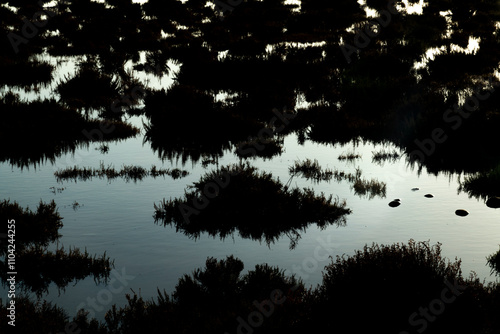 Paysage de Camargue en France autour de  l'étang du Fangassier