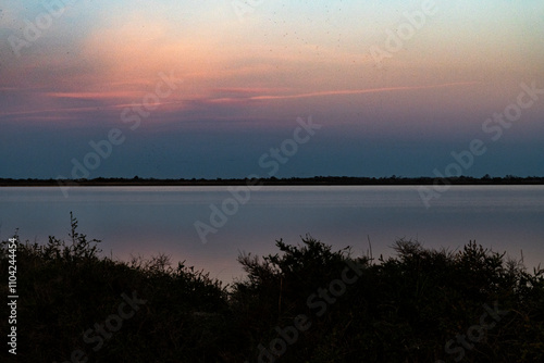 Paysage de Camargue en France autour de  l'étang du Fangassier