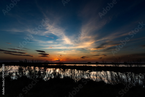 Paysage de Camargue en France autour de  l'étang du Fangassier