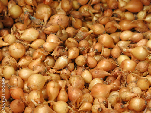 Onions Shallots Vegetable Farmer's Market Organic Harvest Full Frame Background