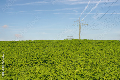 A big electricity pole with many power lines