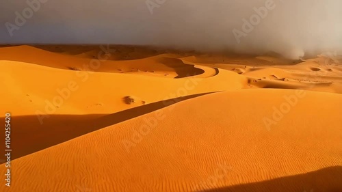 A vast desert landscape 