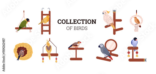 Vector illustration of a banner with a collection of domestic birds with cage accessories.