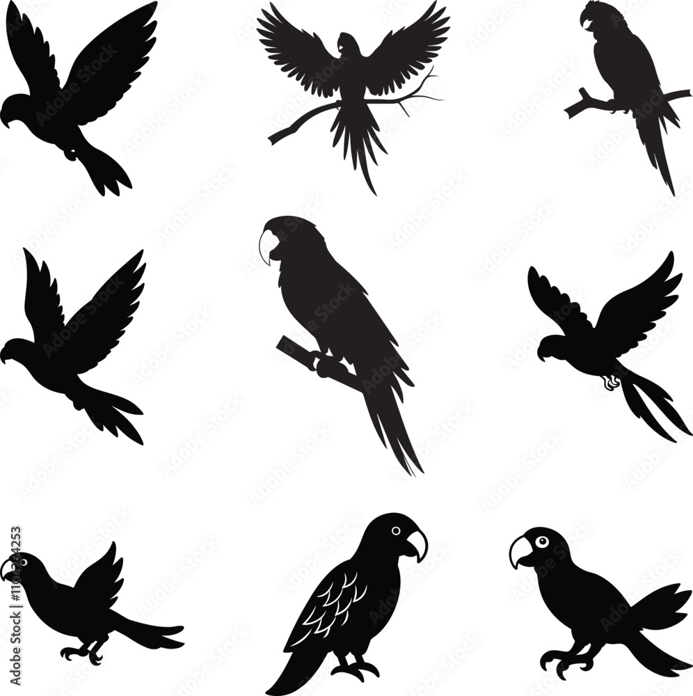 Obraz premium Vector parrot silhouettes of Amazon jungle isolated on a white background, Flying Parrot