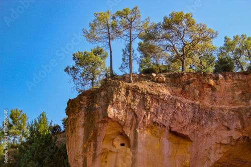 Fichten auf den orangefarbenen Ockerfelsen von Roussillon
