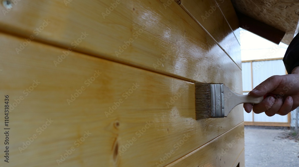 applying varnish to a plank wall of a low wooden building in a rural yard, varnishing the surface of the planks with a wide brush applying varnish to a plank wall of a low wooden building in a rural yard, varnishing the surface of the planks with a wide brush