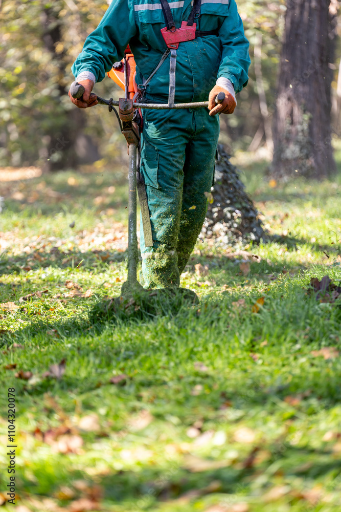 Gardener trims grass in a sunny forest clearing during autumn in a serene, green landscape Gardener trims grass in a sunny forest clearing during autumn in a serene, green landscape