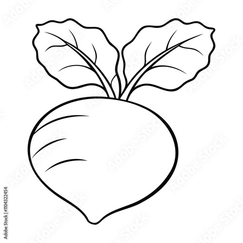 Black and white outline of a kohlrabi with two detailed leaves, drawn in a clean line art style