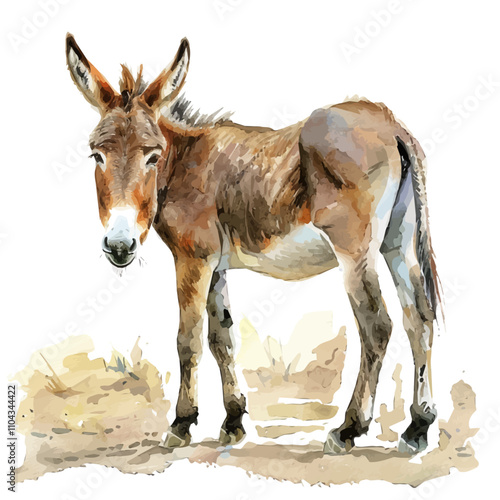 A watercolor vector of Donkey, isolated on a white background. Donkey vector.