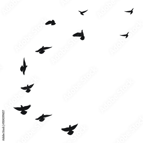 Silhouette sketch of a flock of flying birds, flight in different positions. Takeoff, flying, flight, flutter, hover, soaring, landing