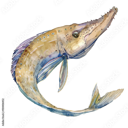 A watercolor of Flabby Whalefish, isolated on a white background. Flabby Whalefish vector. photo