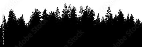 3d rendering of the dense pine forest silhouette on transparent background. Wide seamless nature panorama landscape cutout