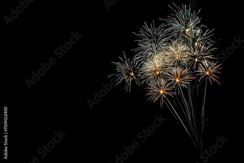 colorful fireworks on the black sky background with free space for text. Celebration and anniversary concept