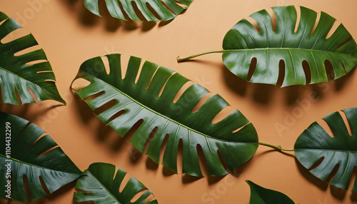 Vintage botanical illustration of tropical leaves