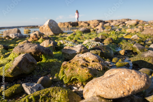 Low view of a beach with rocks. calm sea, moss and algae on the stones. A blurry woman's figure in the backround.