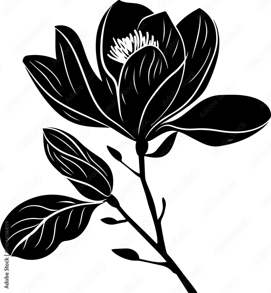 Obraz premium Stylized Black and White Magnolia Illustration