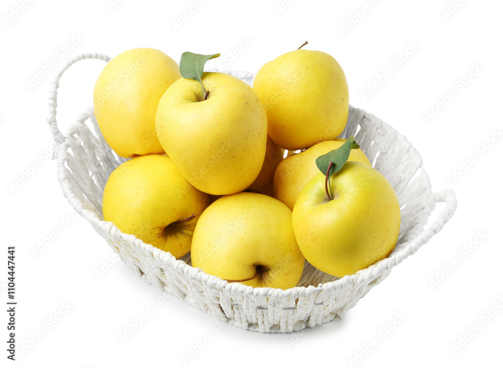 Many fresh yellow apples in wicker basket isolated on white Many fresh yellow apples in wicker basket isolated on white