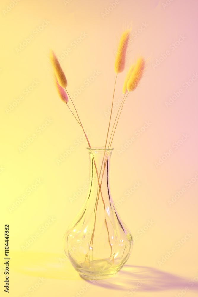 Glass vase with lagurus branches on color background Glass vase with lagurus branches on color background