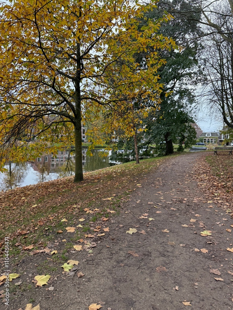 Beautiful view of pathway with fallen leaves in autumn park Beautiful view of pathway with fallen leaves in autumn park