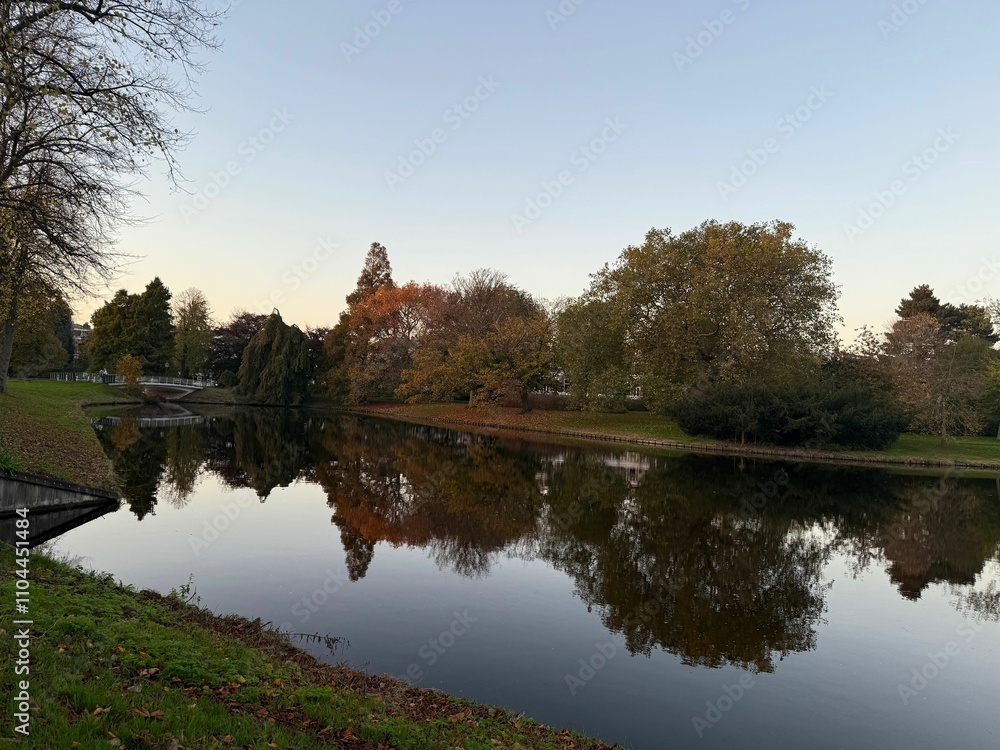Beautiful view of colorful trees, fallen leaves and canal on autumn day Beautiful view of colorful trees, fallen leaves and canal on autumn day