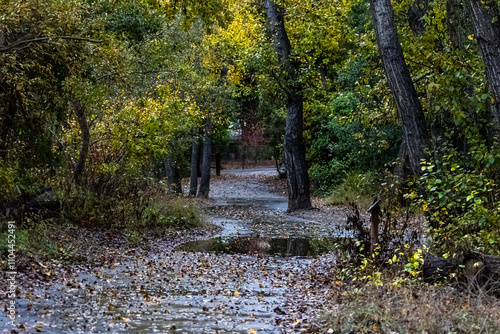 Fall Colors, Bob Jones Trail, Avila Beach, California photo