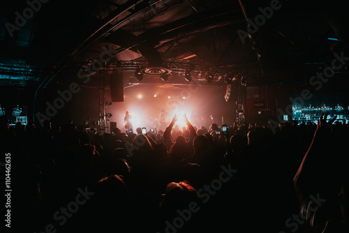 Crowd of people dancing at a concert