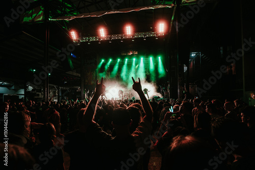 crowd of people dancing at concert