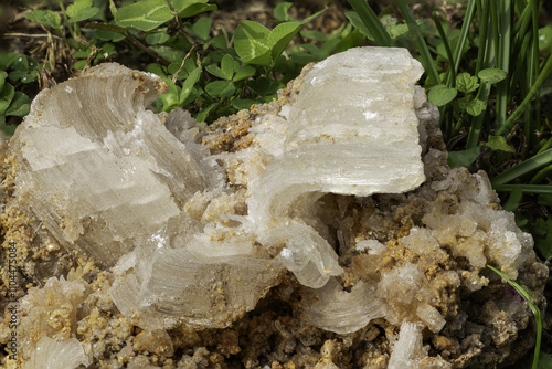 Raw gypsum mineral sample on natural earthy background with vibrant green foliage photo