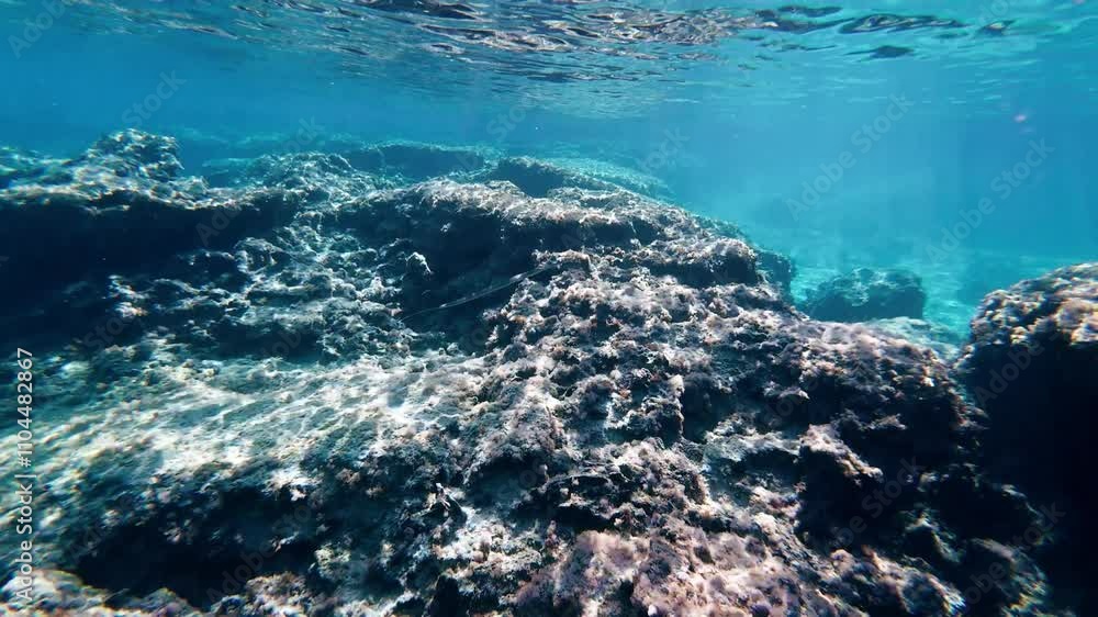 Underwater Snorkelling Cyprus reef fish crystal blue waters Mediterranean action camera Underwater Snorkelling Cyprus reef fish crystal blue waters Mediterranean action camera
