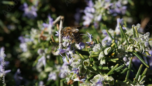 Natuur, dieren en reizen photo