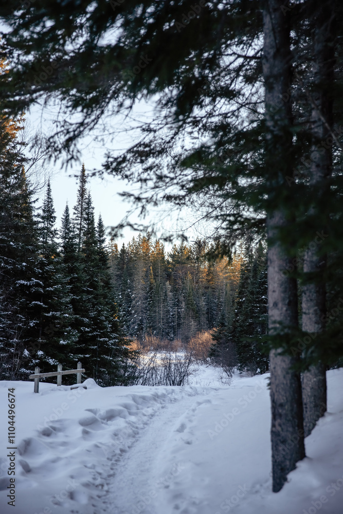 Beautiful winter view in the park. Algonquin Park, Canada. Beautiful winter view in the park. Algonquin Park, Canada.