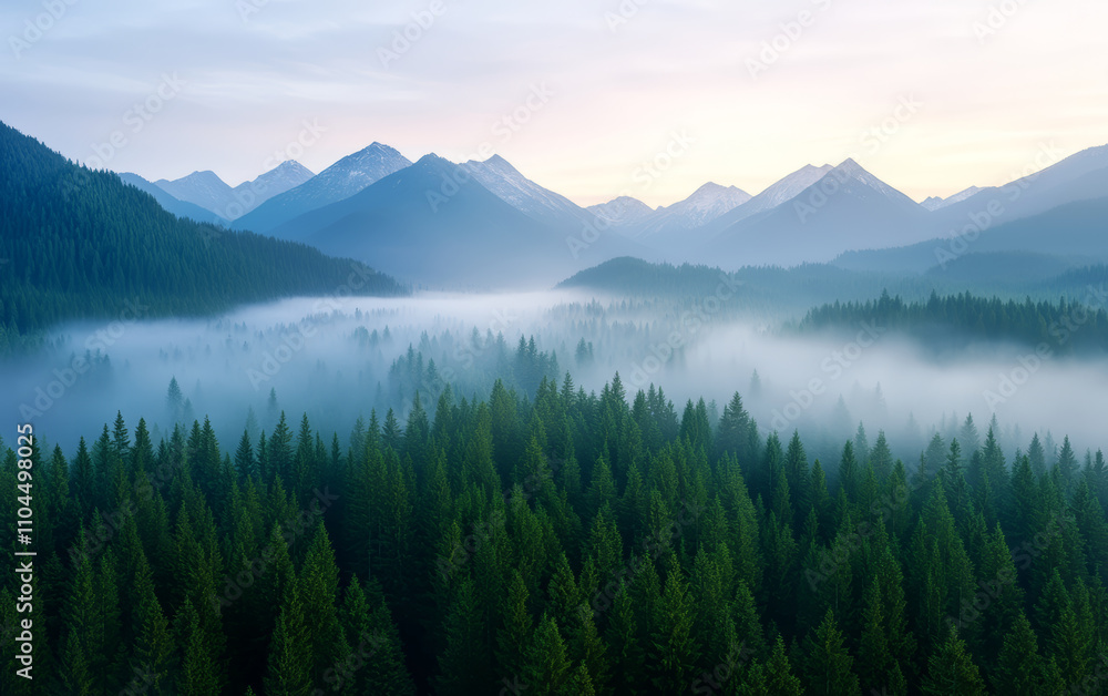 Obraz premium Commercial background of mountain forest natural scenery 
