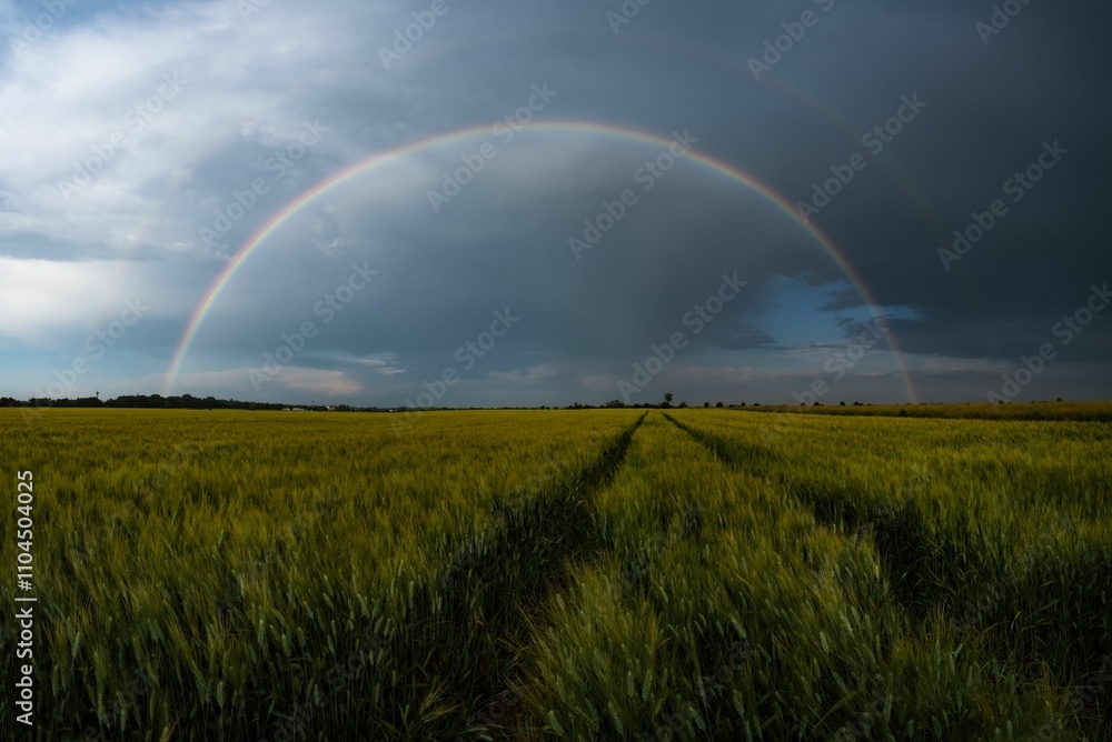 Rainbow over a lush green field Rainbow over a lush green field