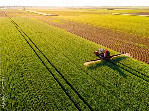 Aerial view of a farmer driving a tractor on a rural path between vibrant wheat green crops
