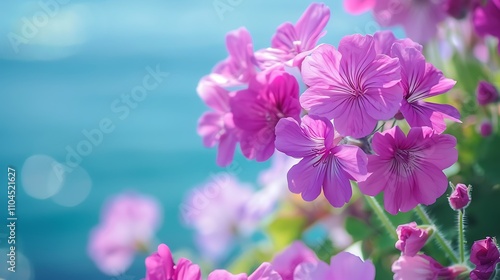 A close-up of vibrant pink flowers against a blurred blue background, evoking a sense of beauty and tranquility.