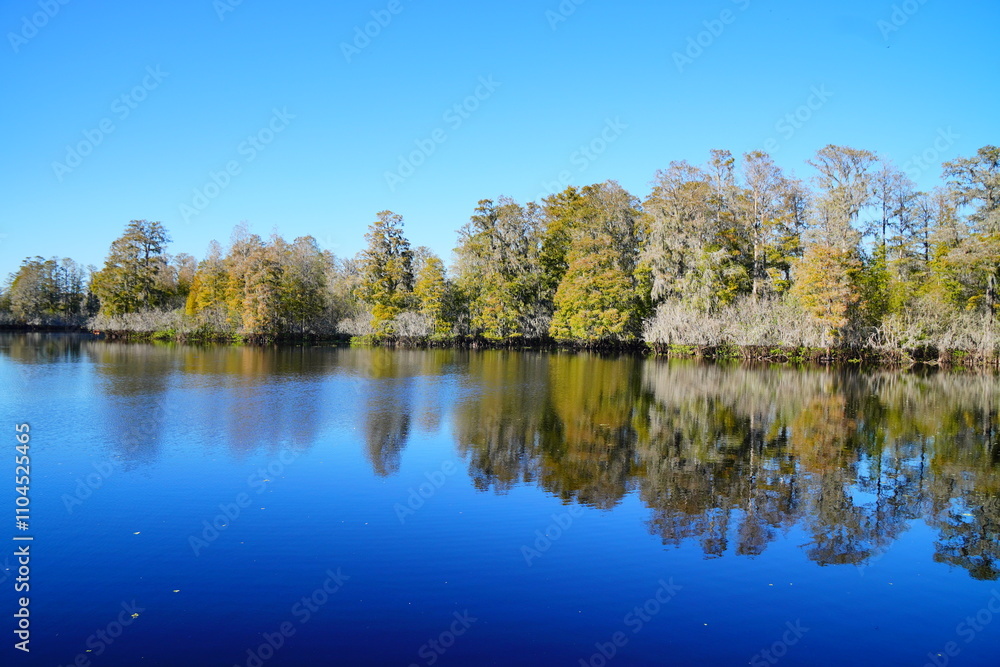 Winter Landscape of Hillsborough river at Lettuce lake park
Winter Landscape of Hillsborough river at Lettuce lake park