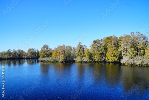 Winter Landscape of Hillsborough river at Lettuce lake park	
