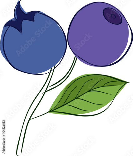 sketch graphic line blue bilberries composition with branch and leaf. Vector illustration on transparent background