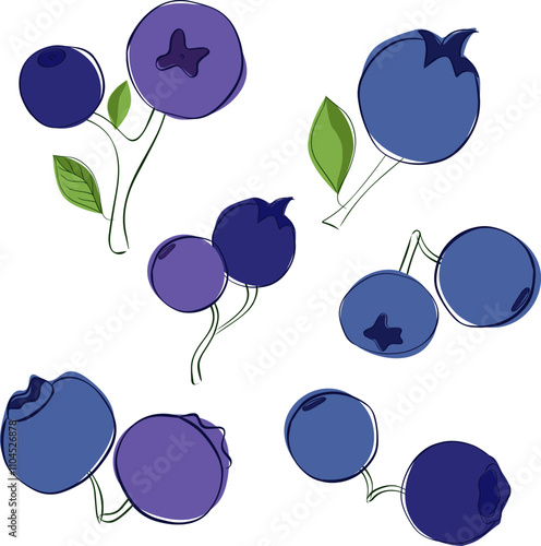 Graphic outline illustration set of two blueberries isolated on white transparent background. Vector Various blueberry bunches.